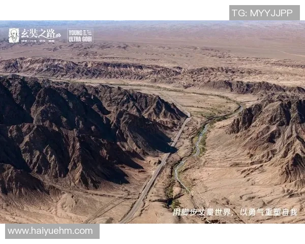 格斗游戏在挑战与机遇中重塑自我发展之路